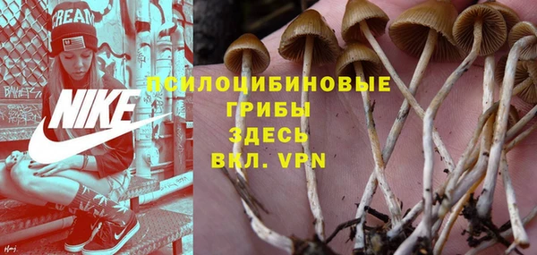 ALPHA-PVP Баксан