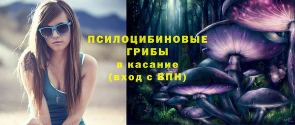 ГАЛЛЮЦИНОГЕННЫЕ ГРИБЫ Балабаново