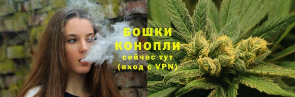 ГАЛЛЮЦИНОГЕННЫЕ ГРИБЫ Балабаново