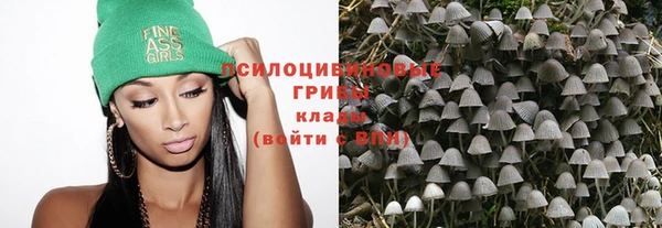 ГАЛЛЮЦИНОГЕННЫЕ ГРИБЫ Балабаново